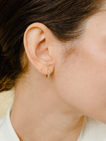 Load image into Gallery viewer, Wilma Earrings (Zirconia) - Yellow Gold Plated

