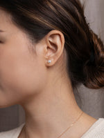 Load image into Gallery viewer, Freshwater Pearl Earrings Studs
